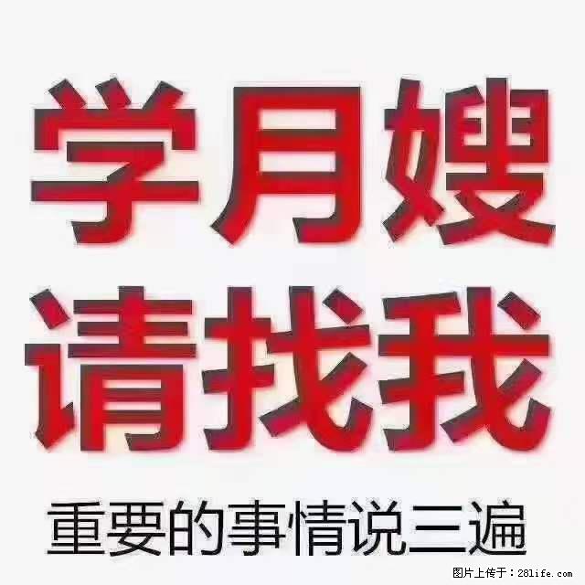 为什么要学习月嫂，育婴师？ - 其他广告 - 广告专区 - 阿拉尔分类信息 - 阿拉尔28生活网 ale.28life.com