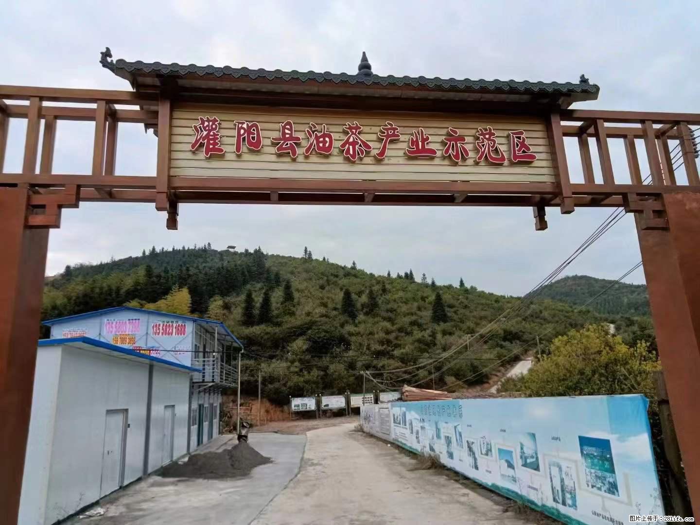 【灌阳县油茶产业示范区】一个有着充实的精神生活的人,对待身外之物自会有一种淡泊的态度 - 美食天地 - 阿拉尔生活社区 - 阿拉尔28生活网 ale.28life.com