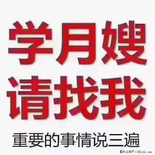 为什么要学习月嫂，育婴师？ - 阿拉尔28生活网 ale.28life.com