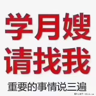 【招聘】月嫂，上海徐汇区 - 阿拉尔28生活网 ale.28life.com