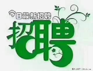 上海青浦区招仓管 - 阿拉尔28生活网 ale.28life.com