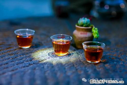 时间果百年古树2025年春红茶 - 购物交流 - 阿拉尔生活社区 - 阿拉尔28生活网 ale.28life.com