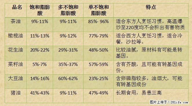 揭秘茶油的5大核心营养成分!被称为人体健康的“守护盾”! - 阿拉尔生活资讯 - 阿拉尔28生活网 ale.28life.com
