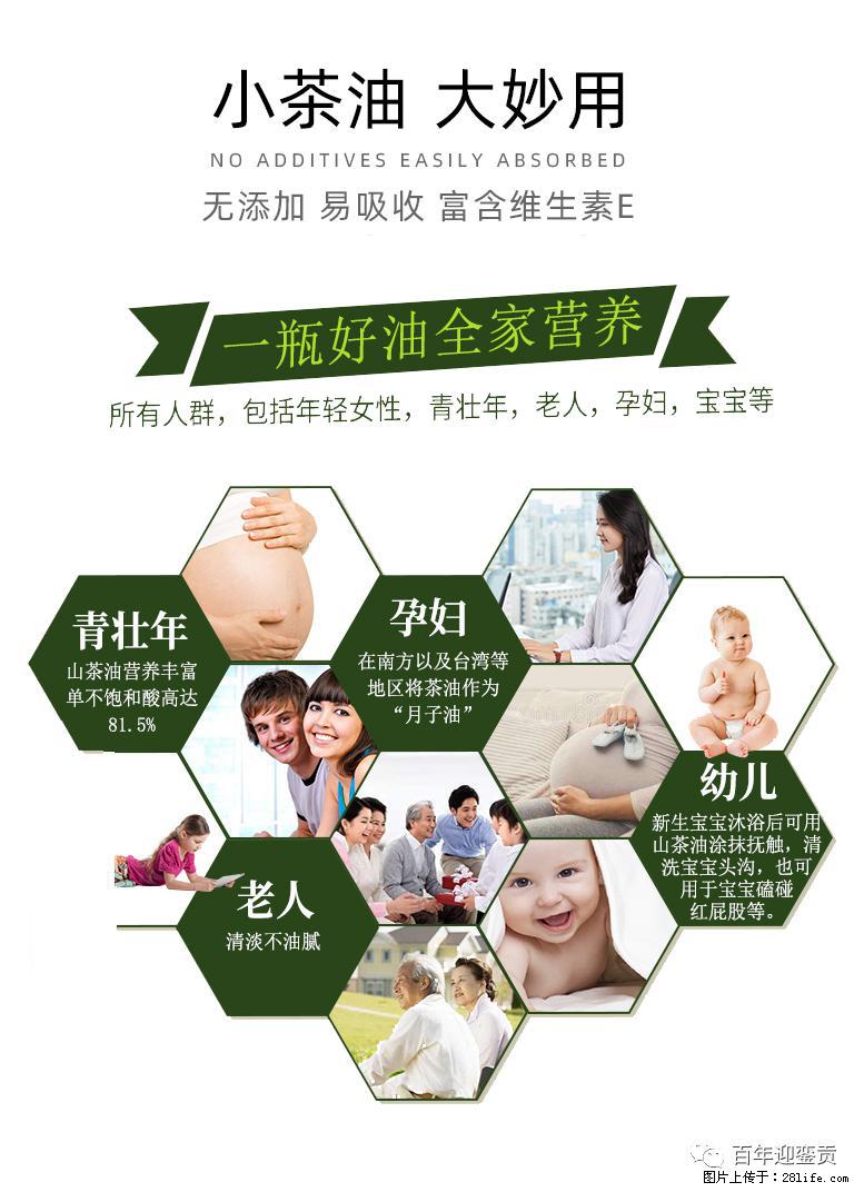 世界没有真相,只有认知,最好的食用油是中国的山茶油! - 阿拉尔生活资讯 - 阿拉尔28生活网 ale.28life.com