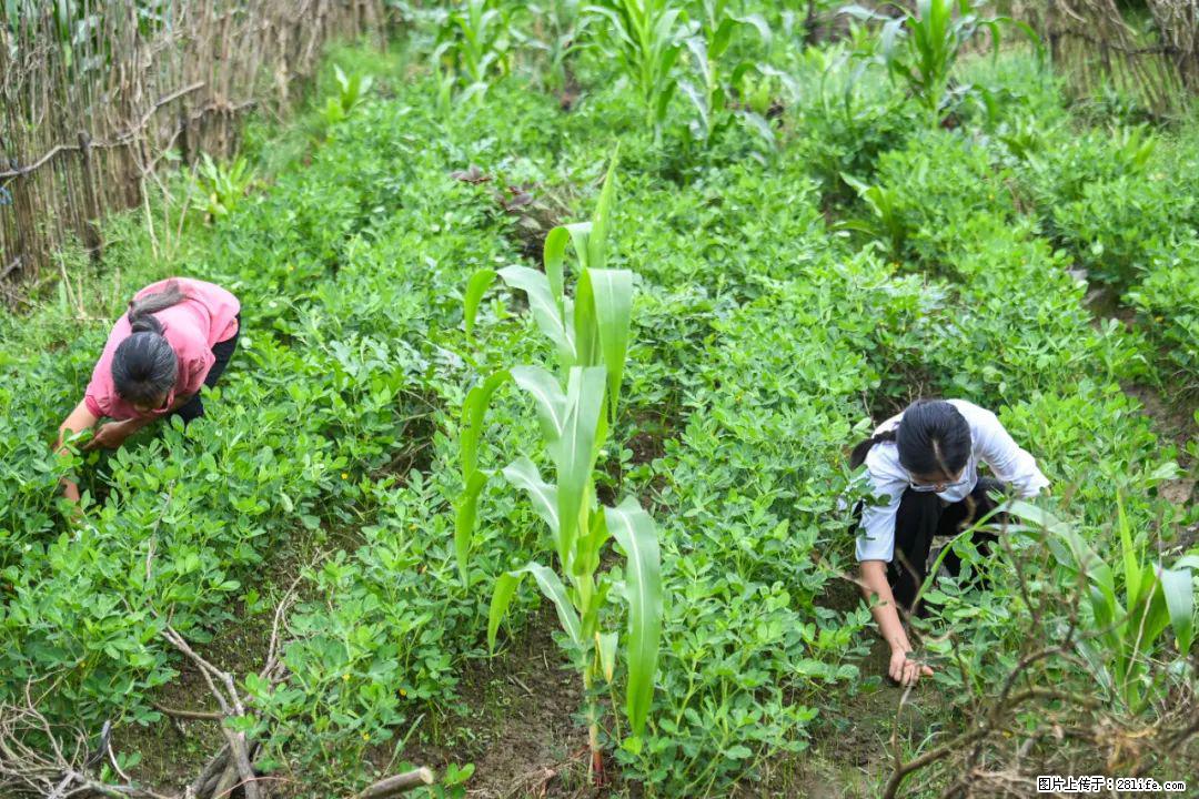 全网追的“扁担女孩”，找了一份暑假工，时薪12元 - 阿拉尔生活资讯 - 阿拉尔28生活网 ale.28life.com