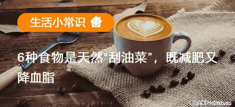 【生活小常识】6种食物是天然“刮油菜”，既减肥又降血脂 - 阿拉尔生活资讯 - 阿拉尔28生活网 ale.28life.com