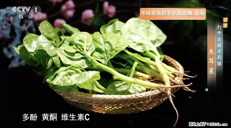 比牛奶补钙还厉害！凉血解毒、稳血糖...这菜冬天必吃，很多人却当草 - 阿拉尔生活资讯 - 阿拉尔28生活网 ale.28life.com