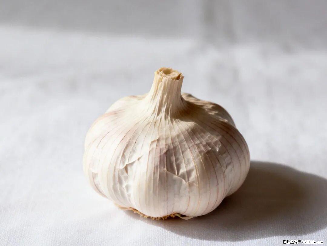 关于大蒜，除了“天然抗生素”，这4个谣言更该警惕! - 阿拉尔生活资讯 - 阿拉尔28生活网 ale.28life.com