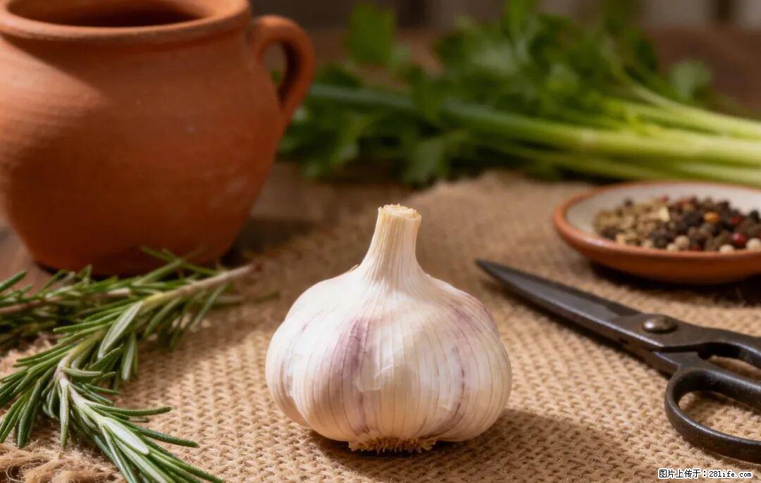 关于大蒜，除了“天然抗生素”，这4个谣言更该警惕! - 阿拉尔生活资讯 - 阿拉尔28生活网 ale.28life.com