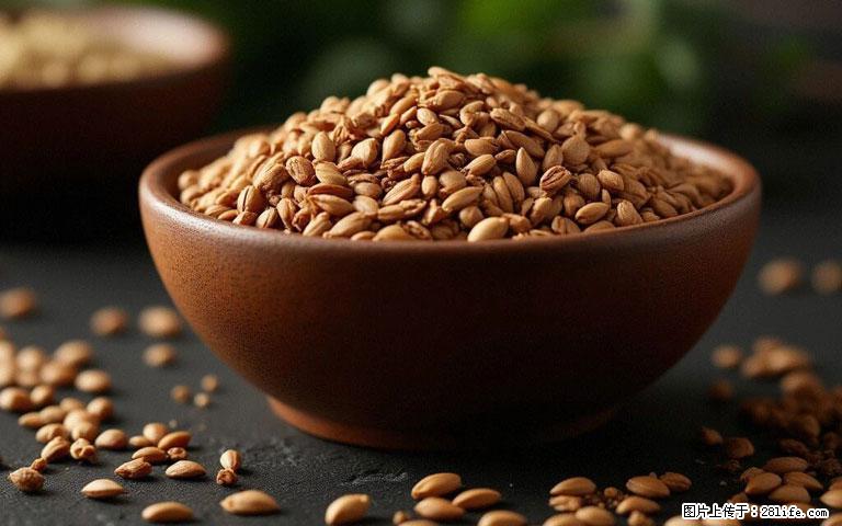 这三苦是三高“克星”，心血管干净不易堵！每天吃一点，指标慢慢降下来~ - 阿拉尔生活资讯 - 阿拉尔28生活网 ale.28life.com