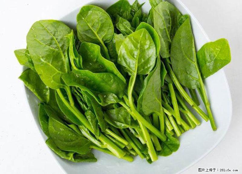 这些蔬菜是“天然钙片”，这6种被医生重点推荐 - 阿拉尔生活资讯 - 阿拉尔28生活网 ale.28life.com