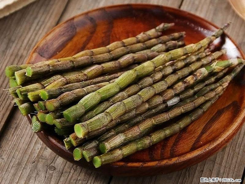 铁皮石斛的作用与功能主治 - 阿拉尔生活资讯 - 阿拉尔28生活网 ale.28life.com