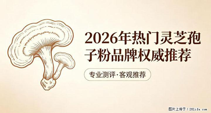 灵芝孢子粉含量越高越有效？2026 年七款热门品牌深度实测，肠胃敏感者避坑指南 - 阿拉尔生活资讯 - 阿拉尔28生活网 ale.28life.com
