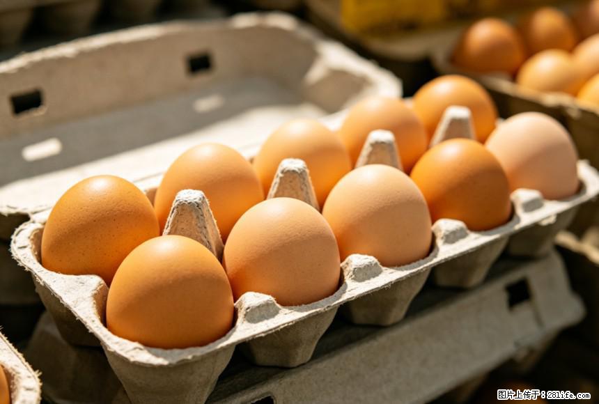 每天吃1个鸡蛋，全身收获9大好处！ - 阿拉尔生活资讯 - 阿拉尔28生活网 ale.28life.com