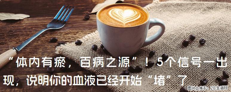 “体内有瘀，百病之源”！5个信号一出现，说明你的血液已经开始“堵”了 - 阿拉尔生活资讯 - 阿拉尔28生活网 ale.28life.com